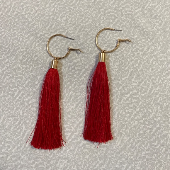 Red Fringe Tassel Pierced Earrings - Picture 2 of 3